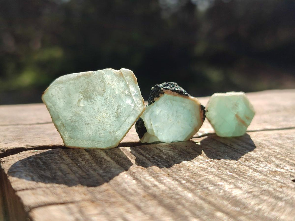 Natural Small Rare Aquamarine in Black Tourmaline Specimens x 267 From Karibib, Namibia - Toprock Gemstones and Minerals 
