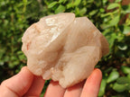 Natural Cascading "Anananas" Candle Quartz Clusters x 6 From Antsirabe, Madagascar - Toprock Gemstones and Minerals 