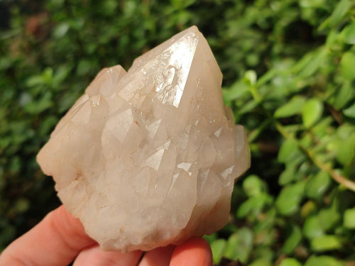 Natural Cascading "Anananas" Candle Quartz Clusters x 6 From Antsirabe, Madagascar - Toprock Gemstones and Minerals 