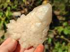 Natural Cascading "Anananas" Candle Quartz Clusters x 6 From Antsirabe, Madagascar - Toprock Gemstones and Minerals 