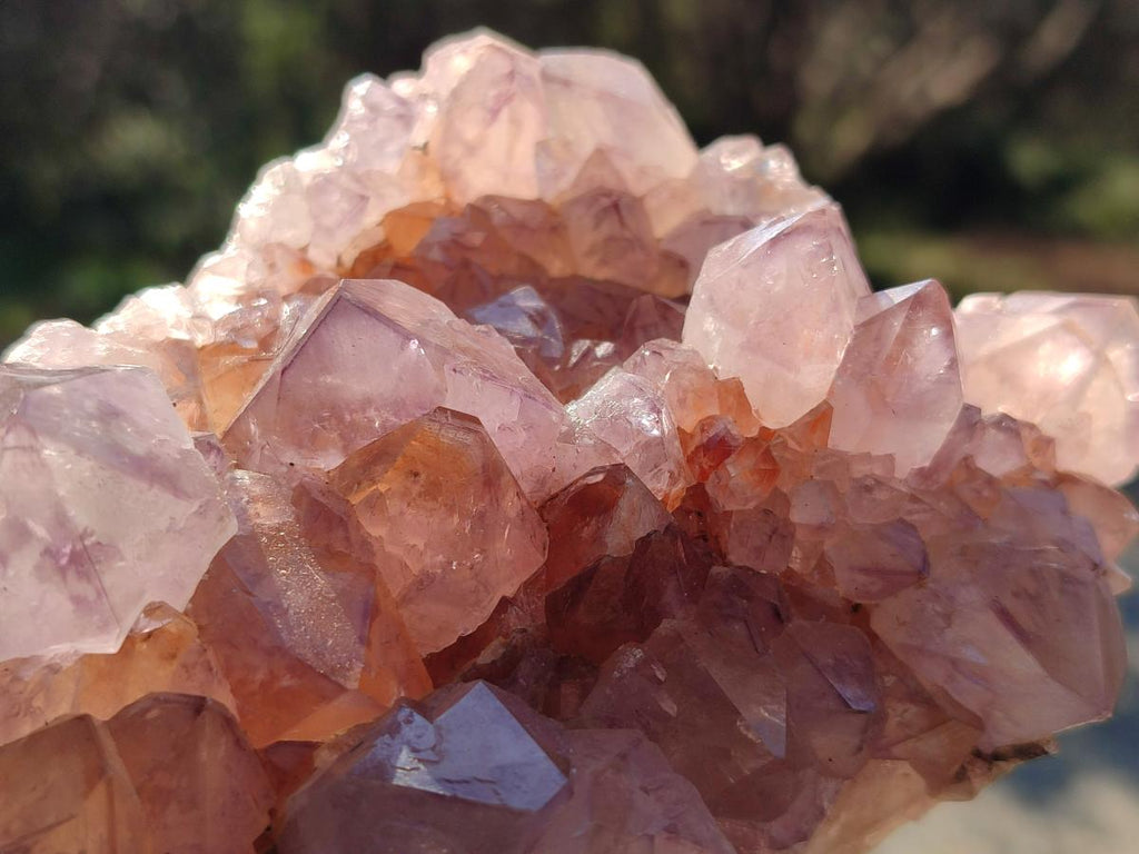 Natural Spirit Amethyst Clusters x 4 From Boekenhouthoek, South Africa - Toprock Gemstones and Minerals 