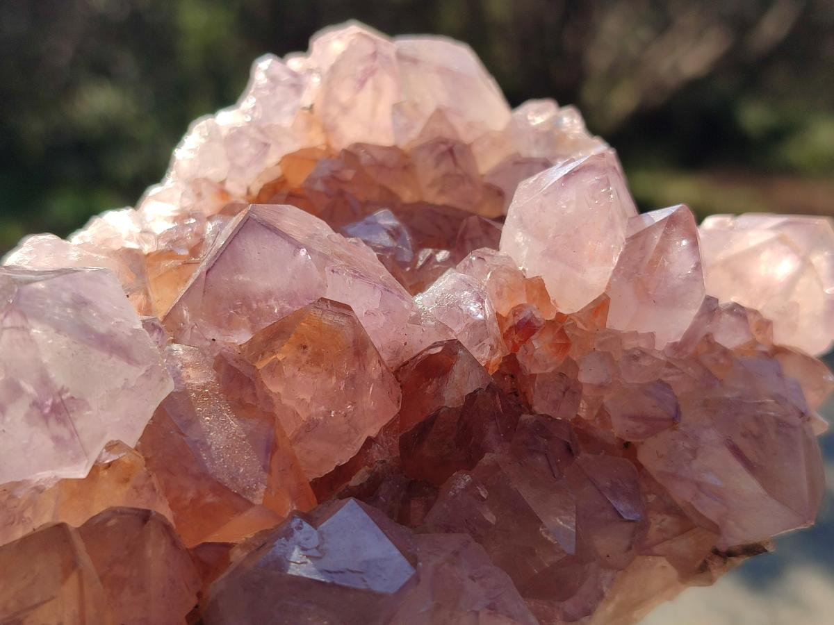 Natural Spirit Amethyst Clusters x 4 From Boekenhouthoek, South Africa - Toprock Gemstones and Minerals 