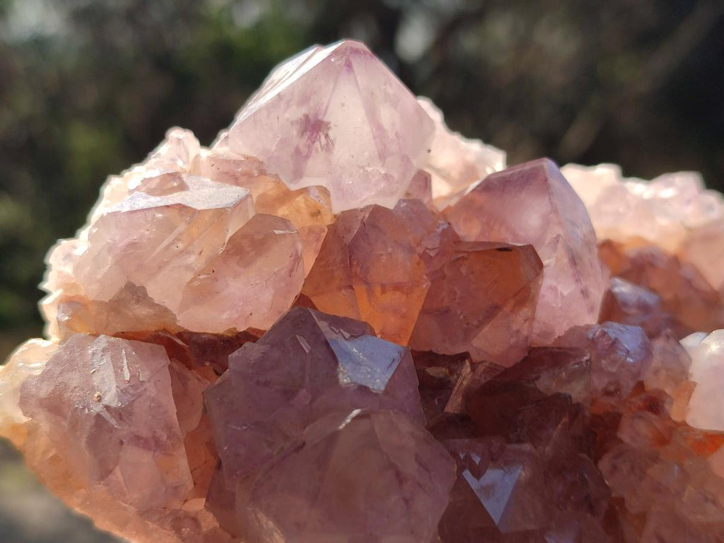 Natural Spirit Amethyst Clusters x 4 From Boekenhouthoek, South Africa - Toprock Gemstones and Minerals 