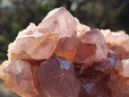 Natural Spirit Amethyst Clusters x 4 From Boekenhouthoek, South Africa - Toprock Gemstones and Minerals 