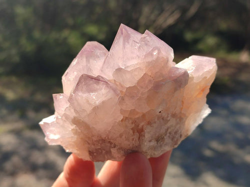 Natural Spirit Amethyst Clusters x 4 From Boekenhouthoek, South Africa - Toprock Gemstones and Minerals 