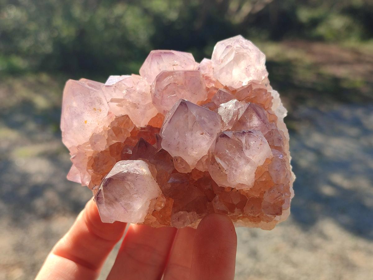 Natural Spirit Amethyst Clusters x 4 From Boekenhouthoek, South Africa - Toprock Gemstones and Minerals 