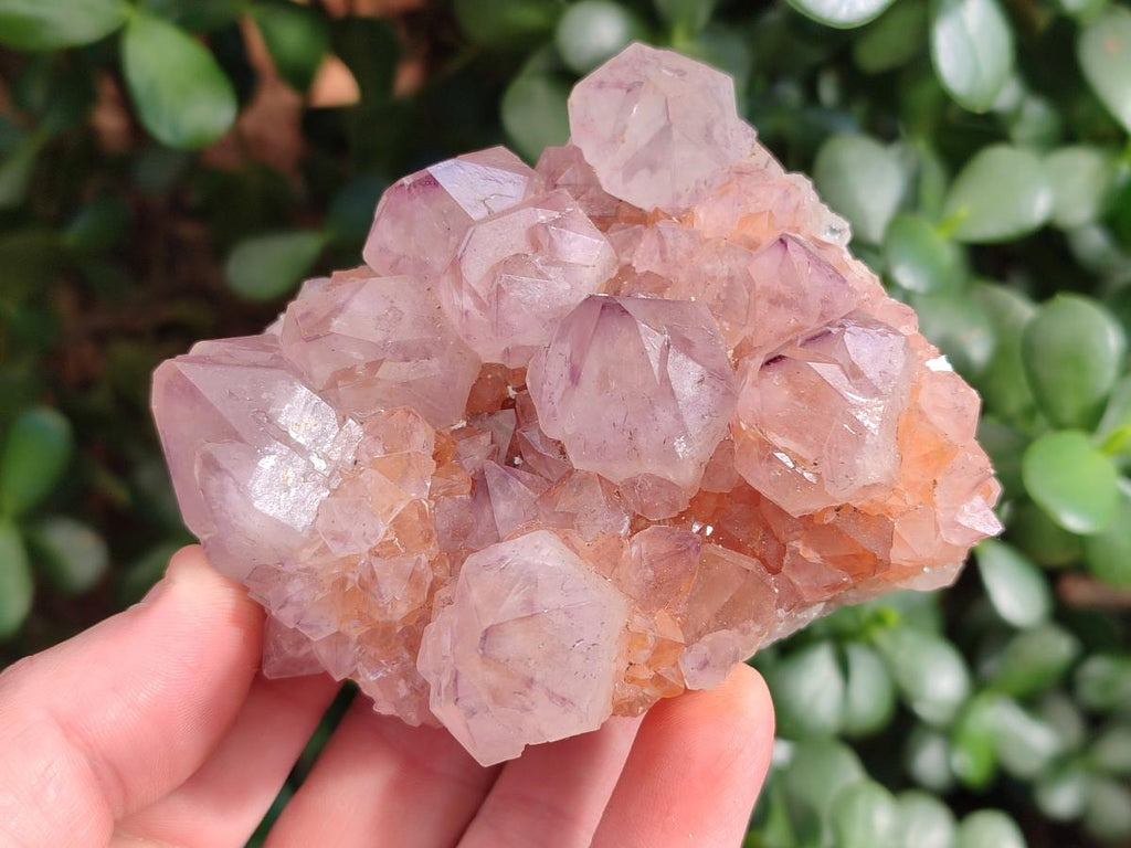 Natural Spirit Amethyst Clusters x 4 From Boekenhouthoek, South Africa - Toprock Gemstones and Minerals 