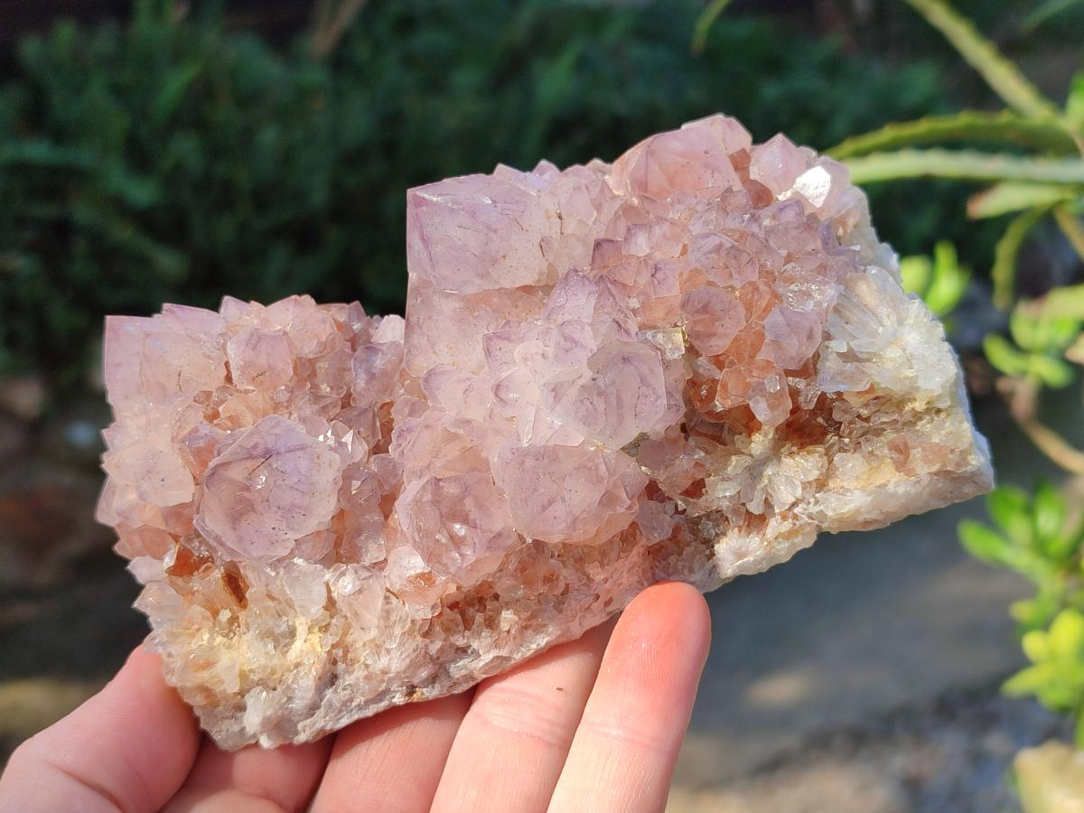 Natural Spirit Amethyst Clusters x 4 From Boekenhouthoek, South Africa - Toprock Gemstones and Minerals 