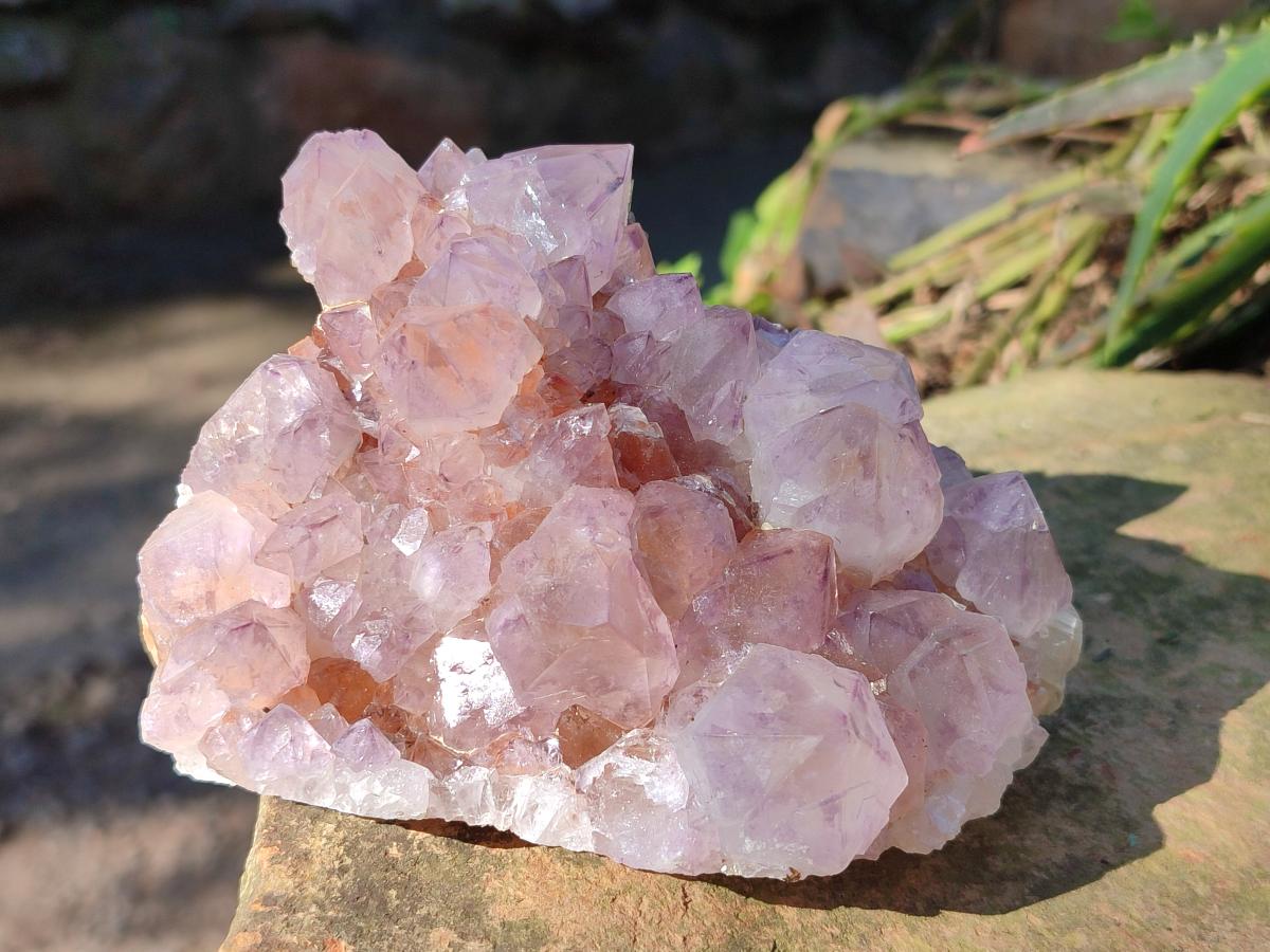 Natural Spirit Amethyst Clusters x 4 From Boekenhouthoek, South Africa - Toprock Gemstones and Minerals 