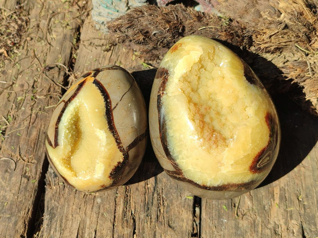Polished Septerye Eggs x 2 From Mahajanga, Madagascar - Toprock Gemstones and Minerals 