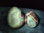 Polished Septerye Eggs x 2 From Mahajanga, Madagascar - Toprock Gemstones and Minerals 