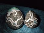 Polished Septerye Eggs x 2 From Mahajanga, Madagascar - Toprock Gemstones and Minerals 
