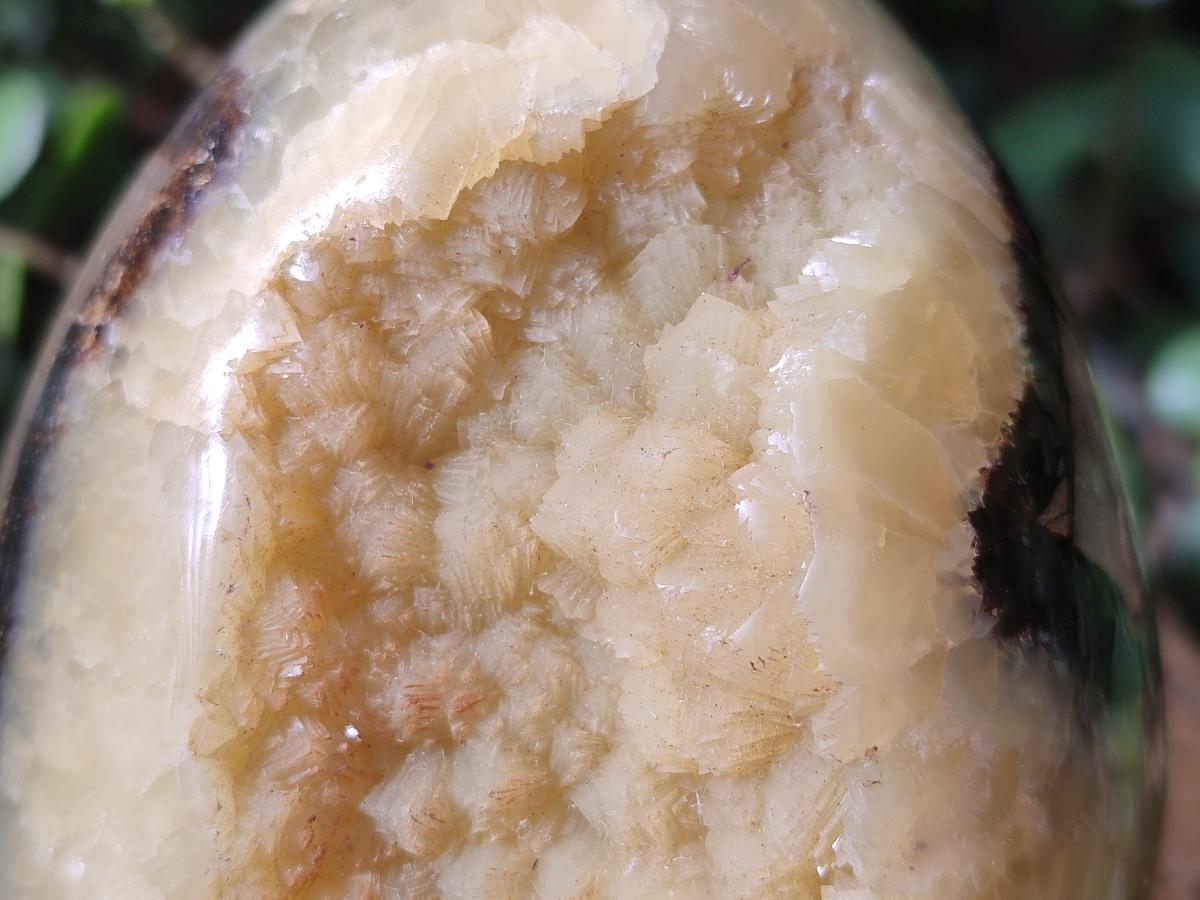 Polished Septerye Eggs x 2 From Mahajanga, Madagascar - Toprock Gemstones and Minerals 