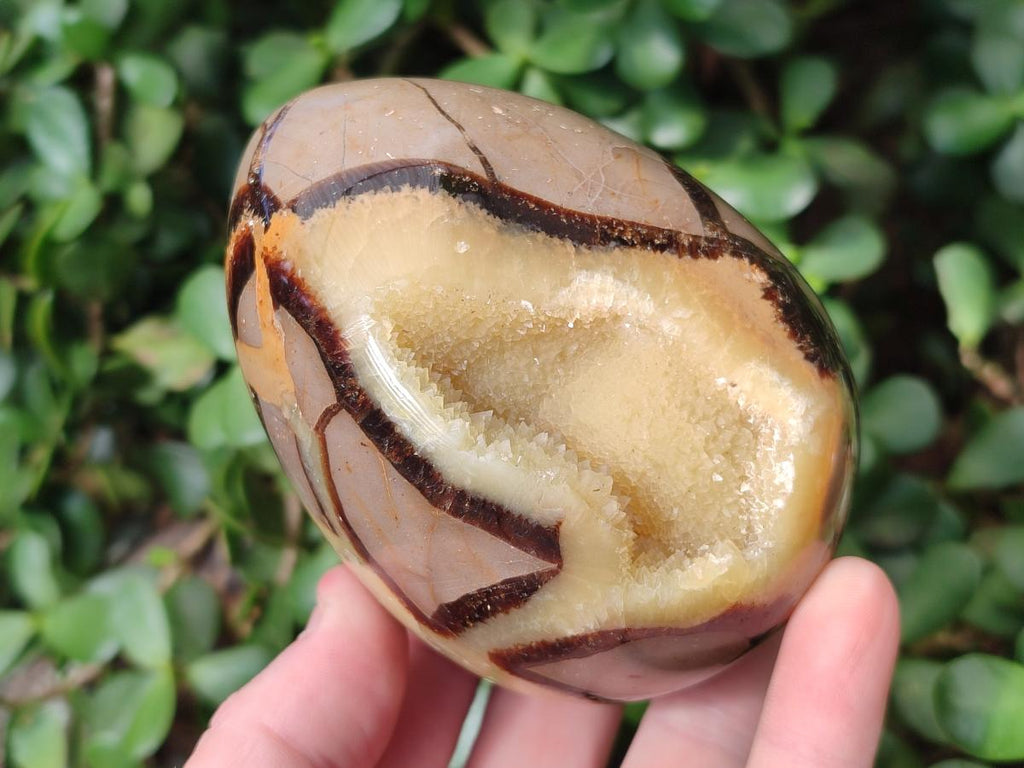 Polished Septerye Eggs x 2 From Mahajanga, Madagascar - Toprock Gemstones and Minerals 