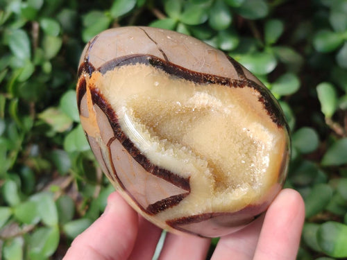 Polished Septerye Eggs x 2 From Mahajanga, Madagascar - Toprock Gemstones and Minerals 