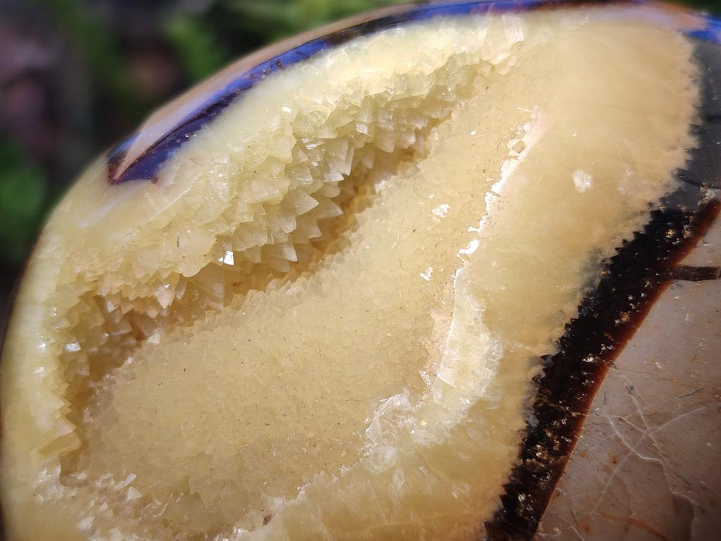 Polished Septerye Eggs x 2 From Mahajanga, Madagascar - Toprock Gemstones and Minerals 