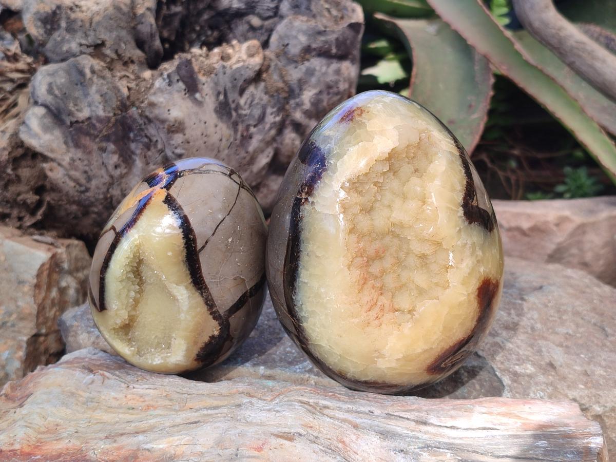 Polished Septerye Eggs x 2 From Mahajanga, Madagascar - Toprock Gemstones and Minerals 