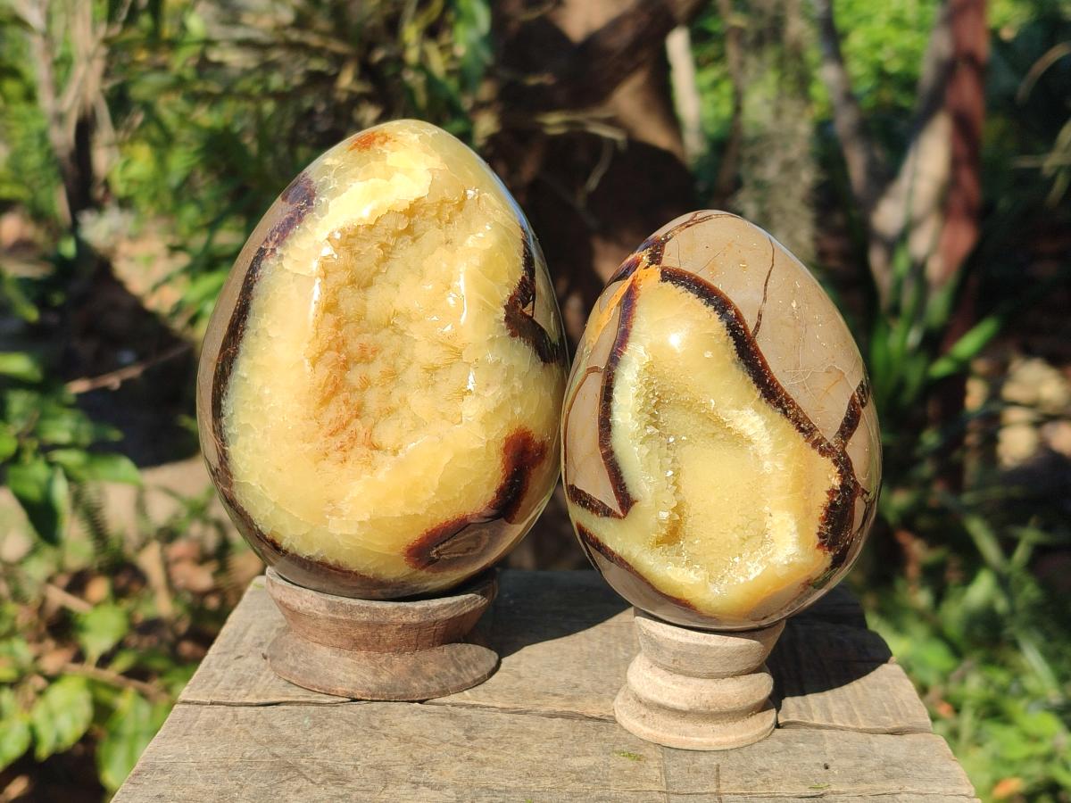 Polished Septerye Eggs x 2 From Mahajanga, Madagascar - Toprock Gemstones and Minerals 