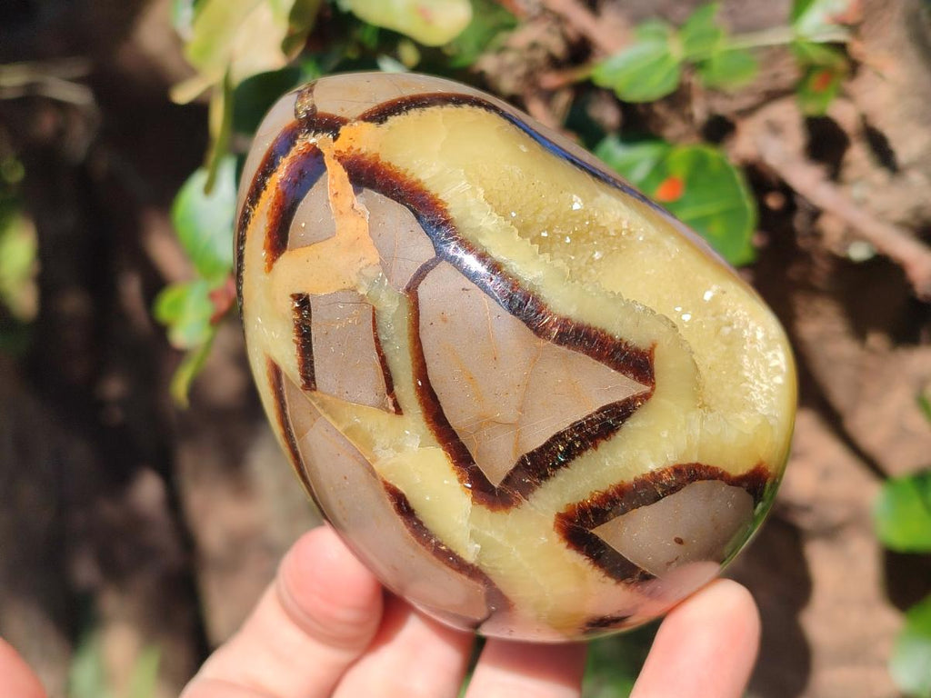 Polished Septerye Eggs x 2 From Mahajanga, Madagascar - Toprock Gemstones and Minerals 