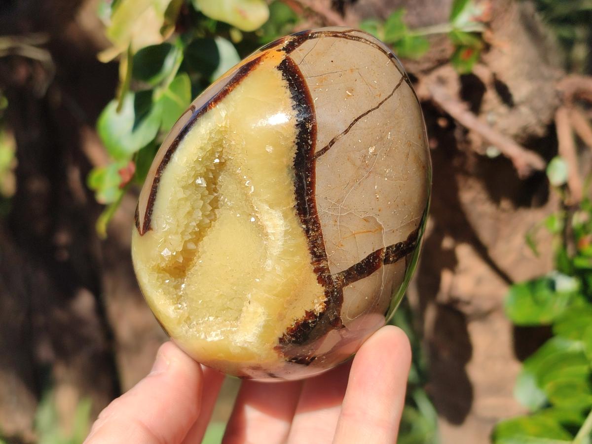 Polished Septerye Eggs x 2 From Mahajanga, Madagascar - Toprock Gemstones and Minerals 