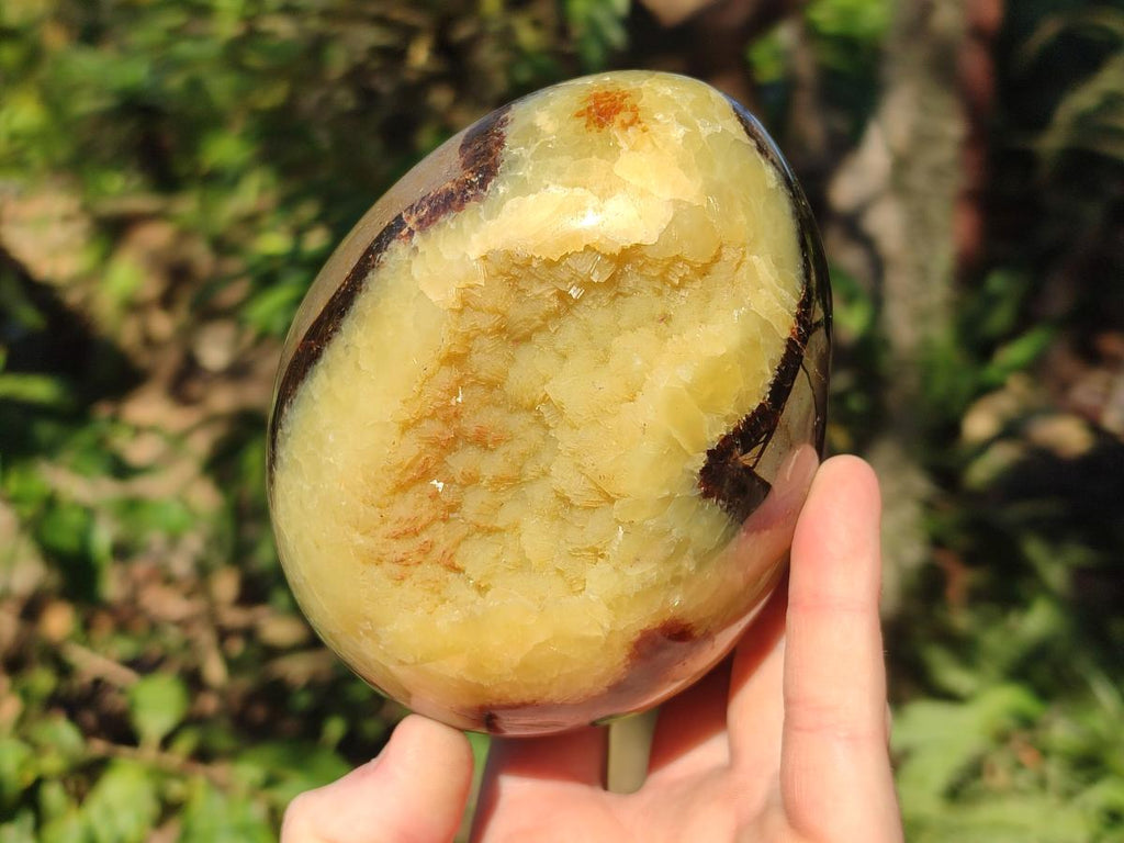 Polished Septerye Eggs x 2 From Mahajanga, Madagascar - Toprock Gemstones and Minerals 