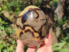 Polished Septerye Eggs x 2 From Mahajanga, Madagascar - Toprock Gemstones and Minerals 