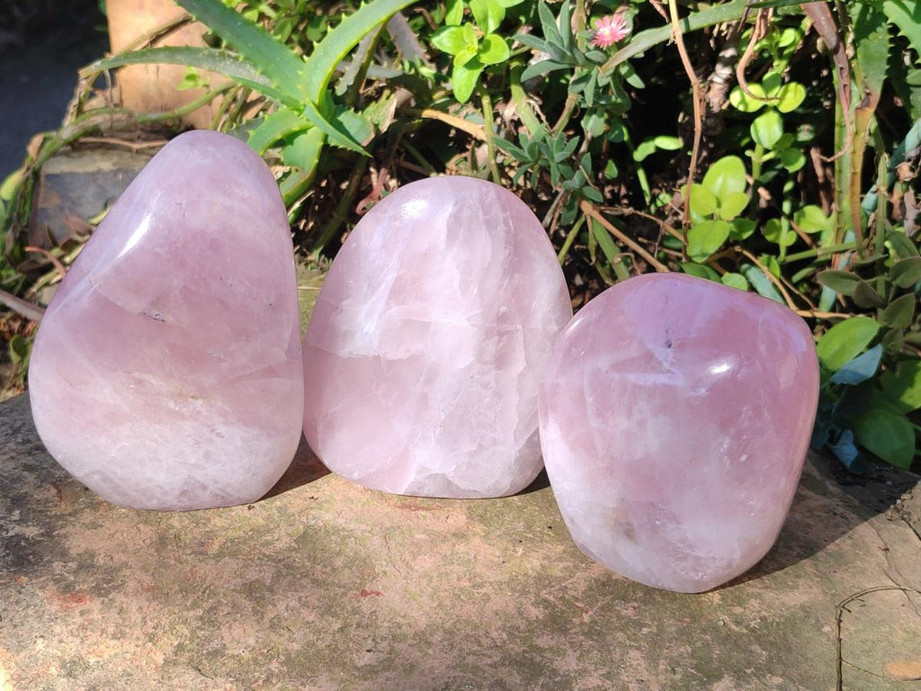 Polished Rose Quartz Standing Display Pieces x 3 From Zimbabwe - Toprock Gemstones and Minerals 