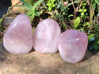 Polished Rose Quartz Standing Display Pieces x 3 From Zimbabwe - Toprock Gemstones and Minerals 