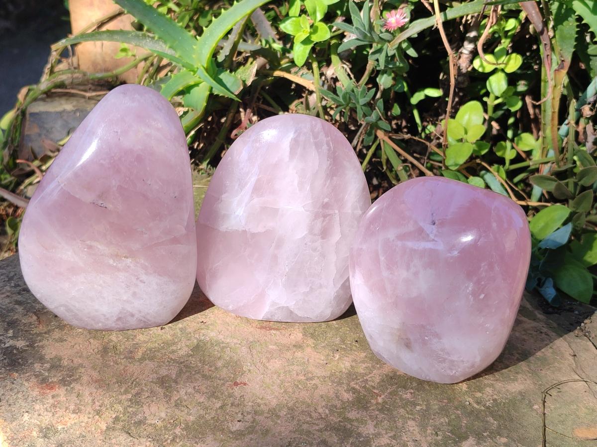 Polished Rose Quartz Standing Display Pieces x 3 From Zimbabwe - Toprock Gemstones and Minerals 