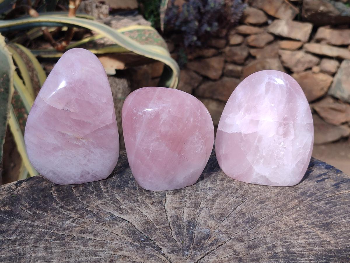 Polished Rose Quartz Standing Display Pieces x 3 From Zimbabwe - Toprock Gemstones and Minerals 