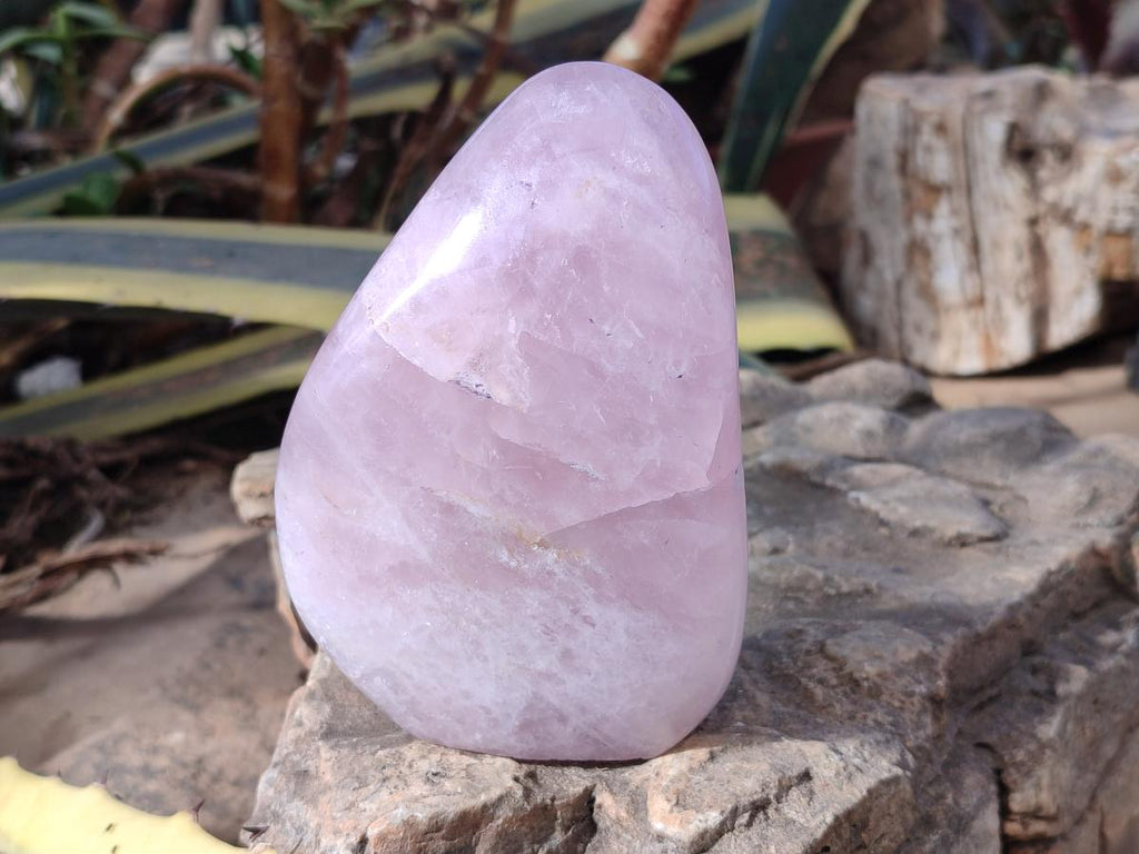 Polished Rose Quartz Standing Display Pieces x 3 From Zimbabwe - Toprock Gemstones and Minerals 