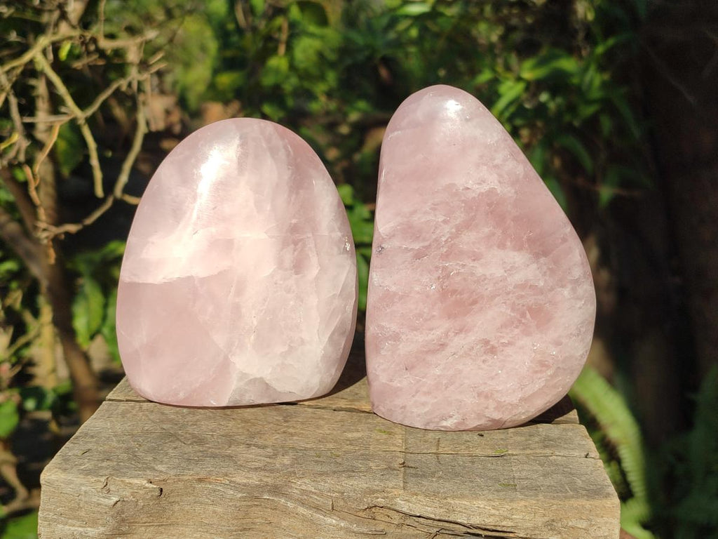 Polished Rose Quartz Standing Display Pieces x 3 From Zimbabwe - Toprock Gemstones and Minerals 