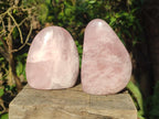 Polished Rose Quartz Standing Display Pieces x 3 From Zimbabwe - Toprock Gemstones and Minerals 