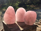 Polished Rose Quartz Standing Display Pieces x 3 From Zimbabwe - Toprock Gemstones and Minerals 