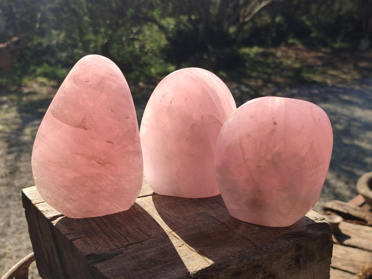 Polished Rose Quartz Standing Display Pieces x 3 From Zimbabwe - Toprock Gemstones and Minerals 
