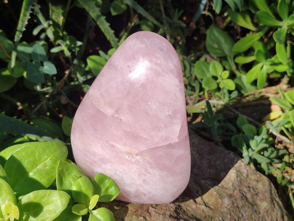 Polished Rose Quartz Standing Display Pieces x 3 From Zimbabwe - Toprock Gemstones and Minerals 