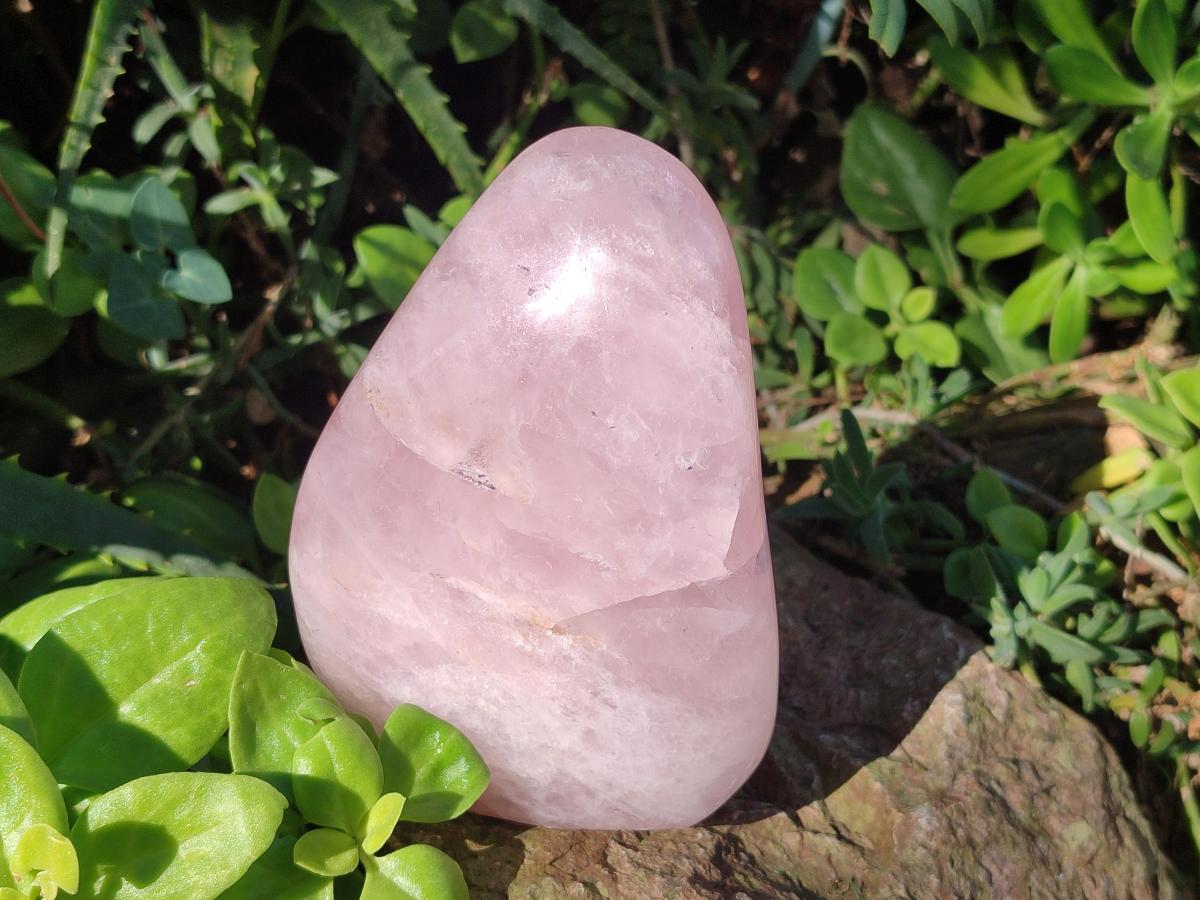 Polished Rose Quartz Standing Display Pieces x 3 From Zimbabwe - Toprock Gemstones and Minerals 
