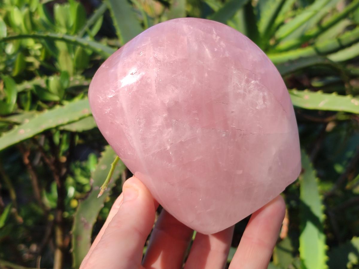 Polished Rose Quartz Standing Display Pieces x 3 From Zimbabwe - Toprock Gemstones and Minerals 