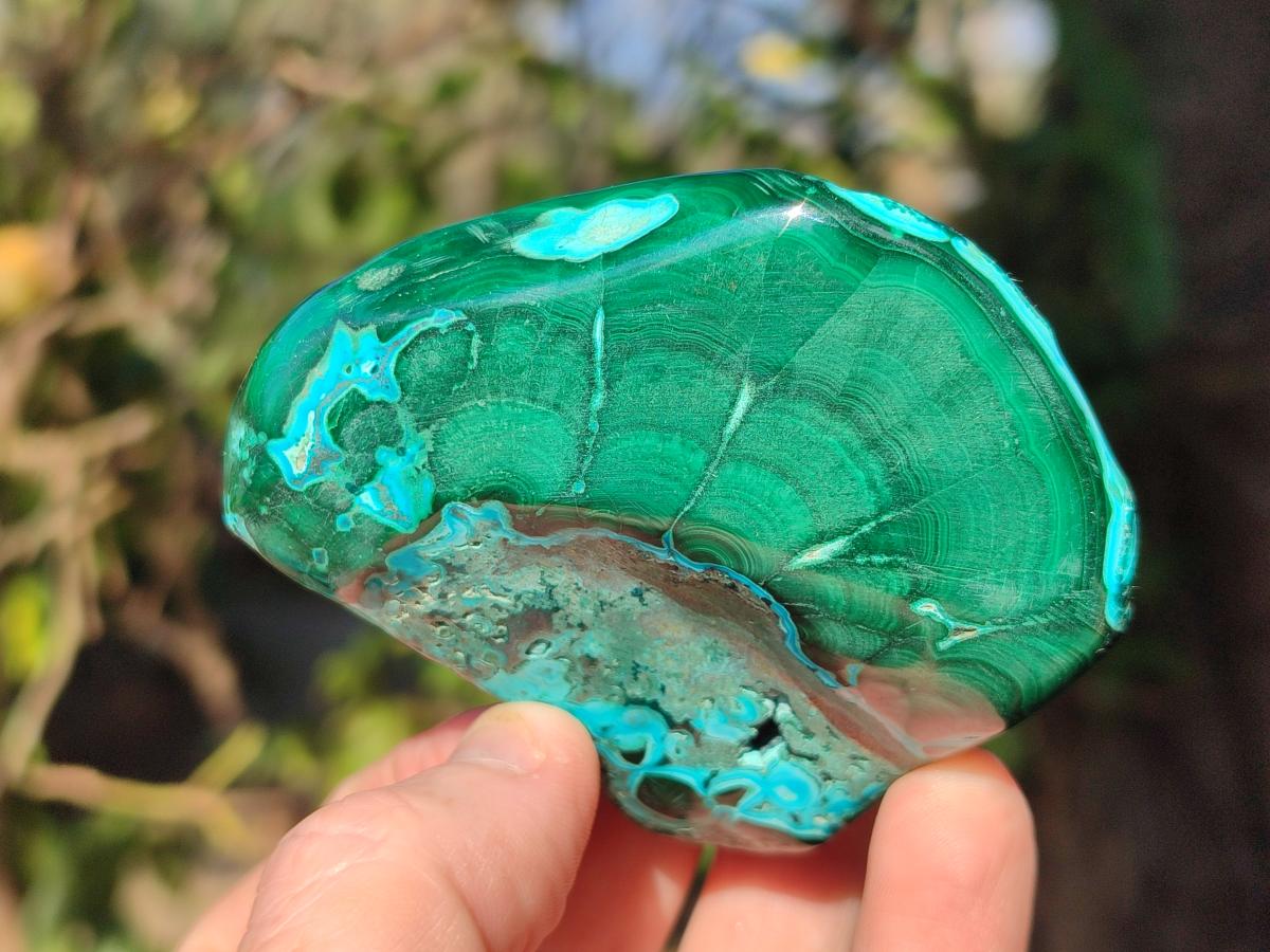 Polished Malacolla Free Forms x 6 From Kulukuluku, Congo - Toprock Gemstones and Minerals 