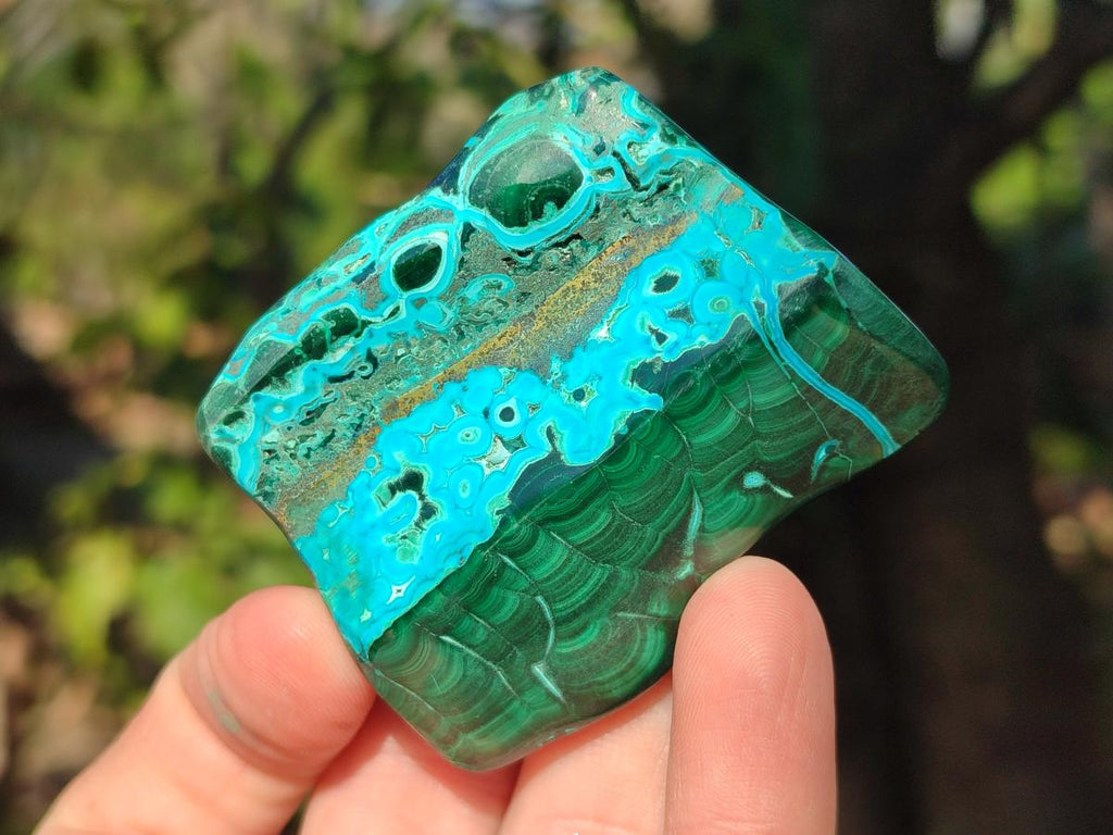Polished Malacolla Free Forms x 6 From Kulukuluku, Congo - Toprock Gemstones and Minerals 