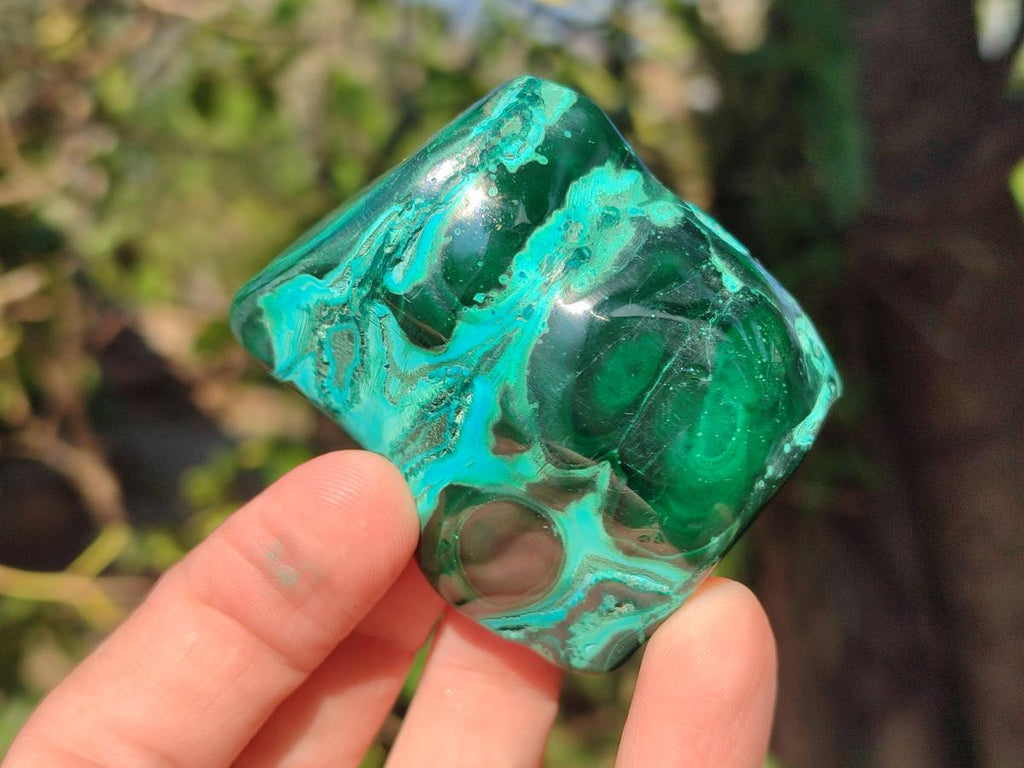 Polished Malacolla Free Forms x 6 From Kulukuluku, Congo - Toprock Gemstones and Minerals 