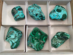 Polished Malacolla Free Forms x 6 From Kulukuluku, Congo - Toprock Gemstones and Minerals 