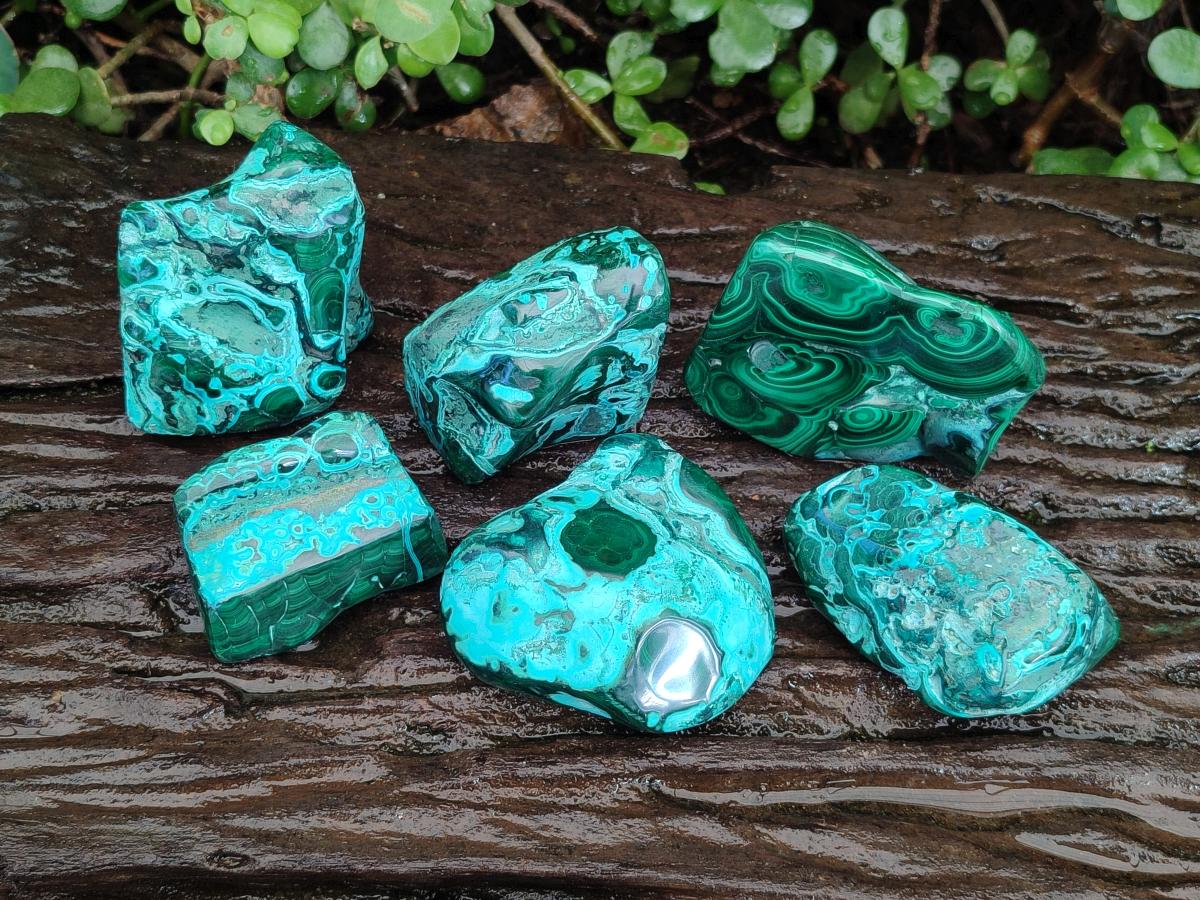 Polished Malacolla Free Forms x 6 From Kulukuluku, Congo - Toprock Gemstones and Minerals 