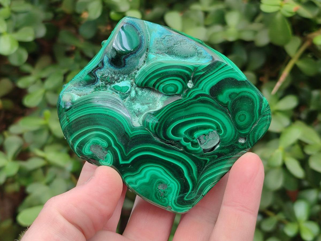 Polished Malacolla Free Forms x 6 From Kulukuluku, Congo - Toprock Gemstones and Minerals 