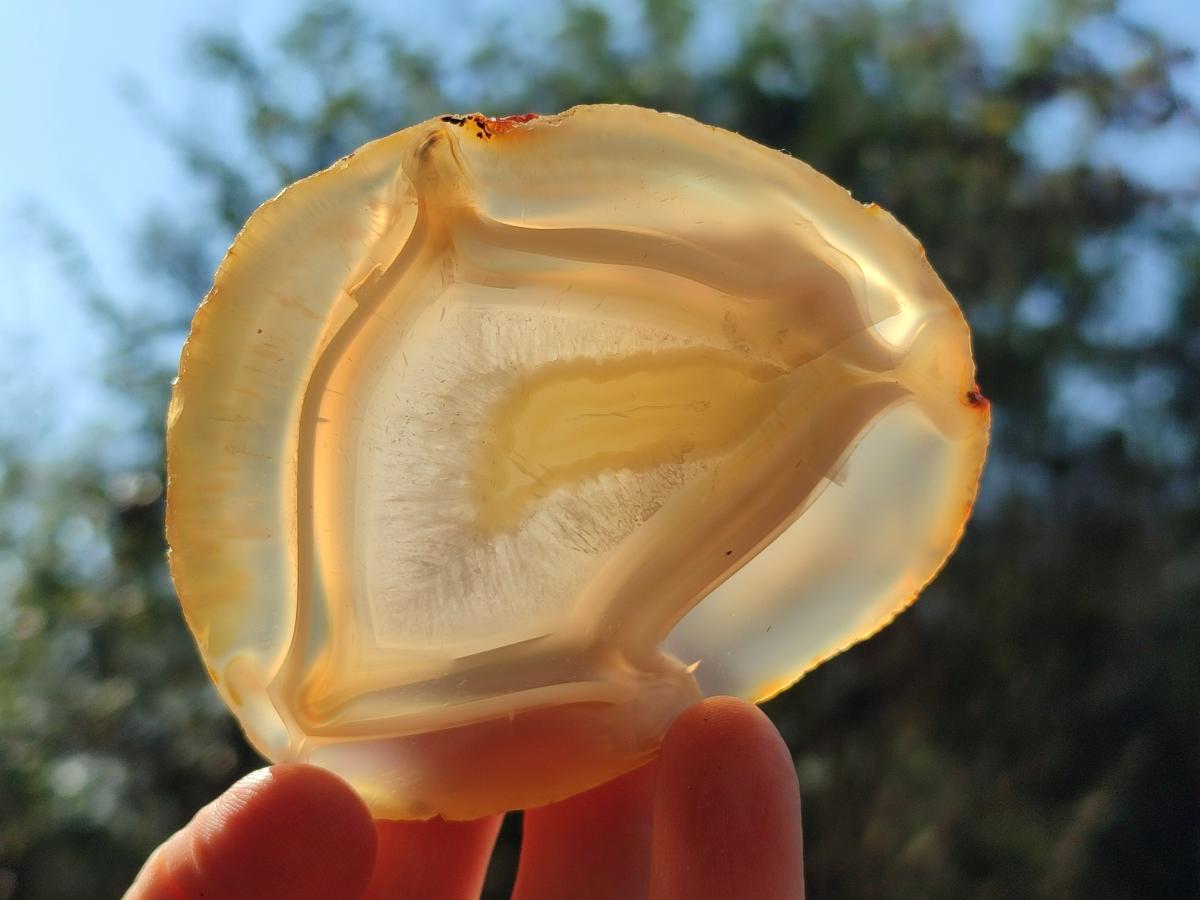 Polished Banded Agate Slices with Natural Edging x 12 From Madagascar - Toprock Gemstones and Minerals 