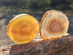 Polished Banded Agate Slices with Natural Edging x 12 From Madagascar - Toprock Gemstones and Minerals 