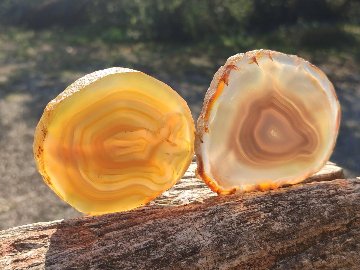 Polished Banded Agate Slices with Natural Edging x 12 From Madagascar - Toprock Gemstones and Minerals 