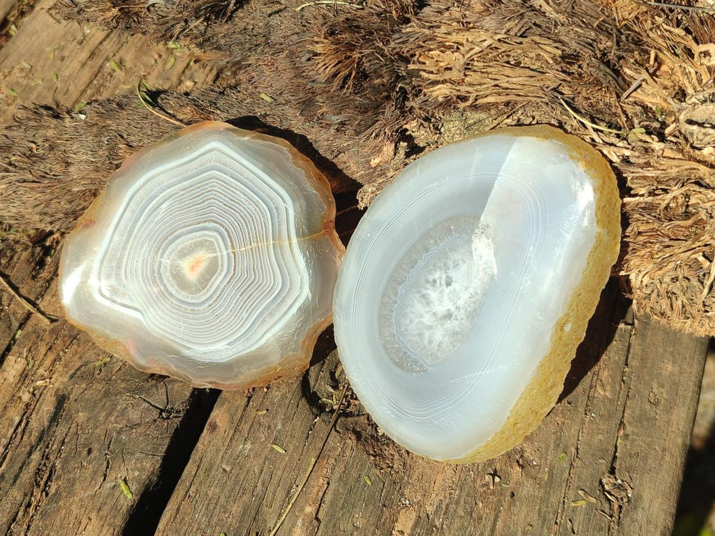 Polished Banded Agate Slices with Natural Edging x 12 From Madagascar - Toprock Gemstones and Minerals 