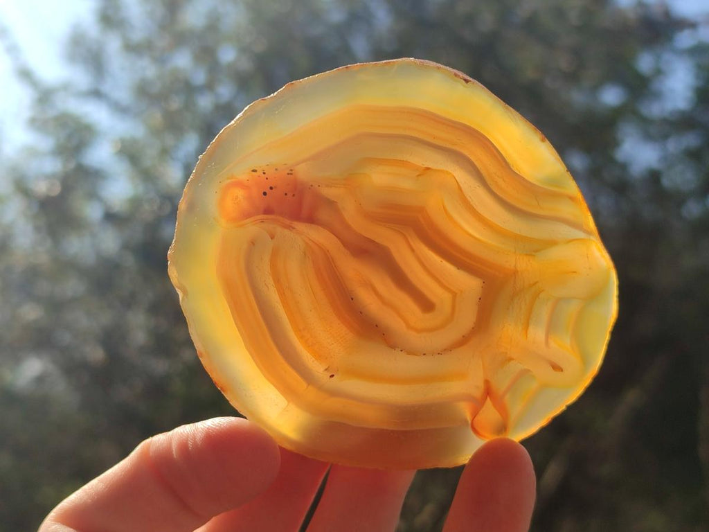 Polished Banded Agate Slices with Natural Edging x 12 From Madagascar - Toprock Gemstones and Minerals 