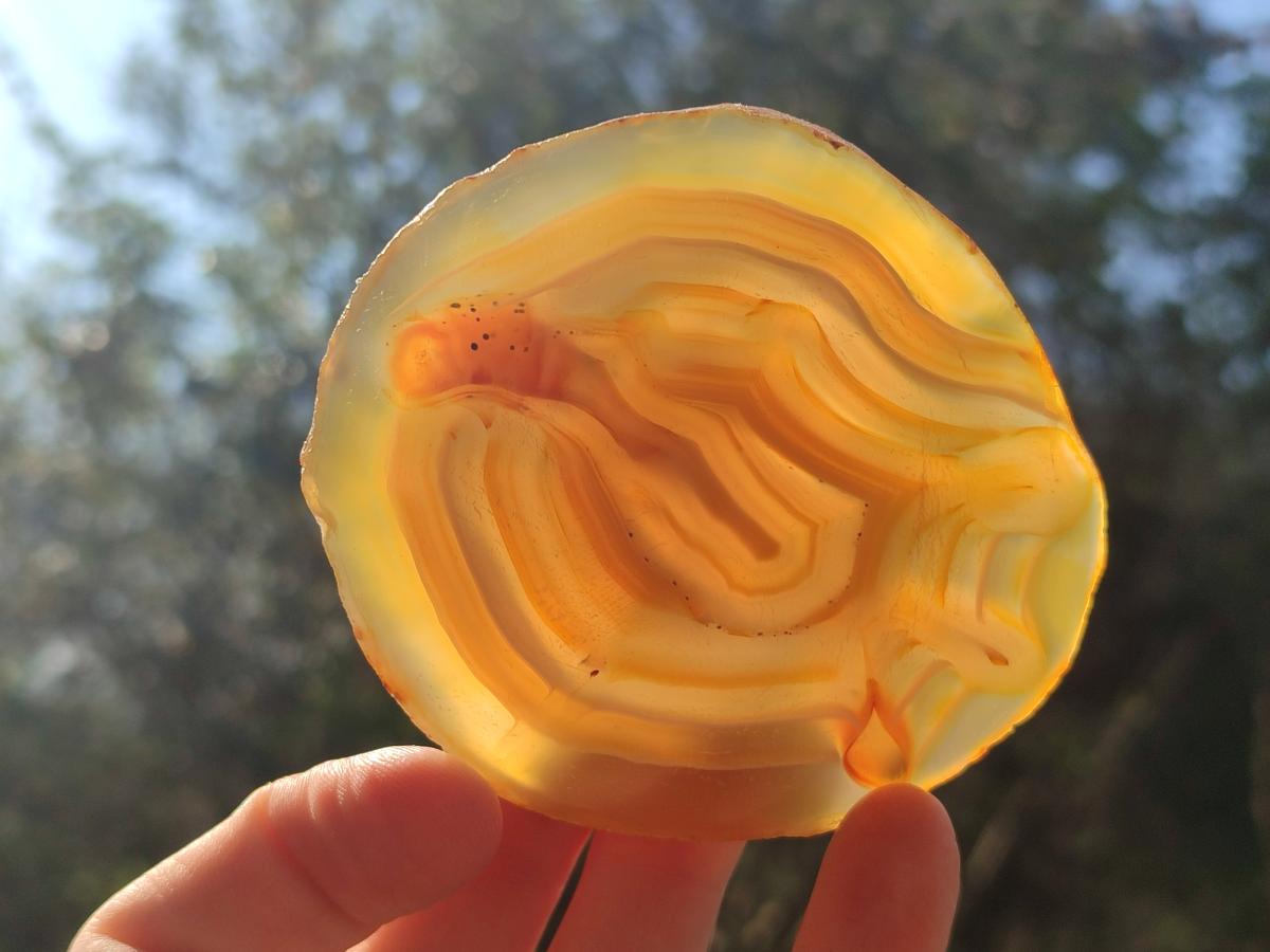 Polished Banded Agate Slices with Natural Edging x 12 From Madagascar - Toprock Gemstones and Minerals 